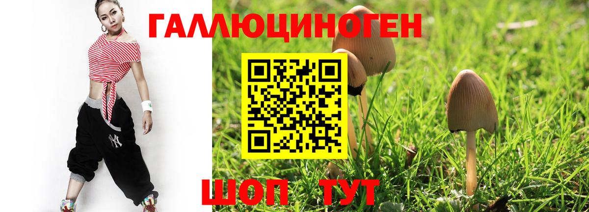 Галлюциногенные грибы MAGIC MUSHROOMS  магазин продажи наркотиков  Вход с VPN  Янаул  Псилоцибиновые грибы Psilocybine cubensis 